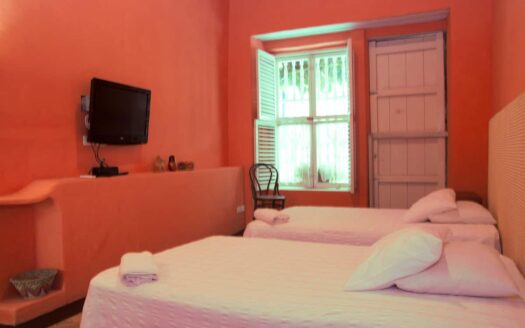 Charming Old City 5 Bedroom Chateau