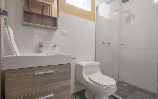 4 BR Luxury Mansion in Top Location Old City