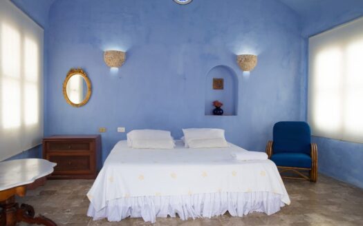Charming Old City 5 Bedroom Chateau