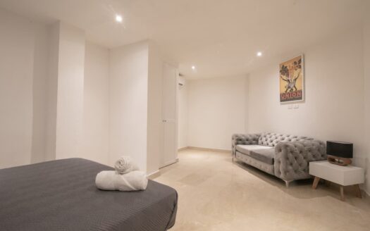 15 Bedroom Villa in the Old City