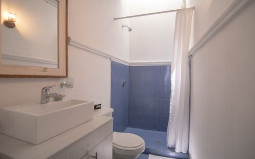 Charming Old City 5 Bedroom Chateau