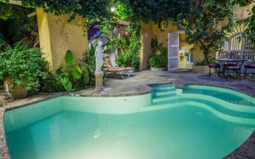 Charming Old City 5 Bedroom Chateau