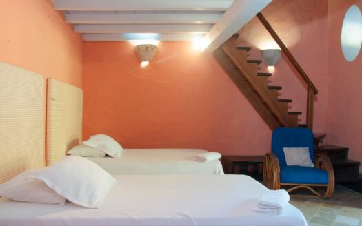 Charming Old City 5 Bedroom Chateau