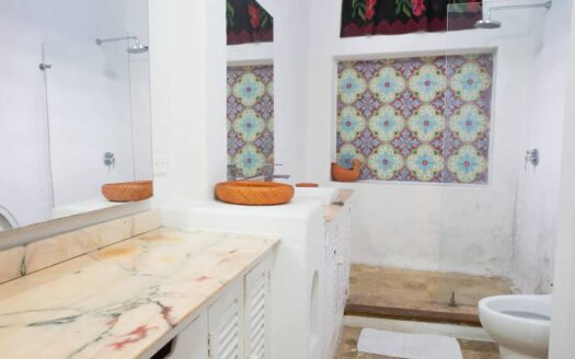 Charming Old City 5 Bedroom Chateau