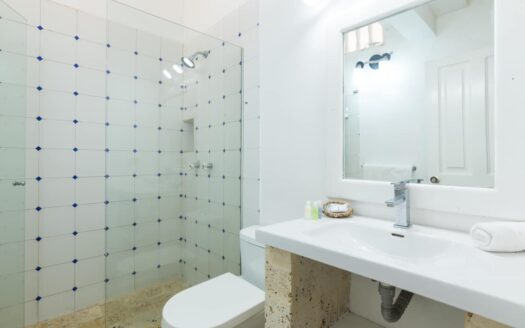15 BR Fantastic Santo Villa | Old City Centre