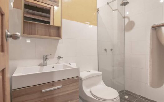 4 BR Luxury Mansion in Top Location Old City