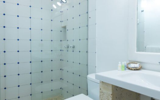15 BR Fantastic Santo Villa | Old City Centre