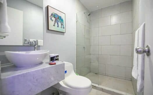 Beautiful 13 BR House in the Old City