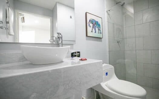 Beautiful 13 BR House in the Old City
