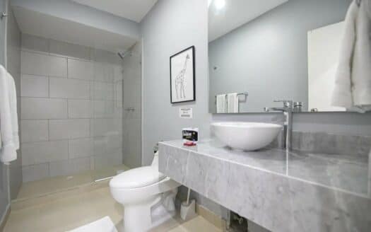 Beautiful 13 BR House in the Old City