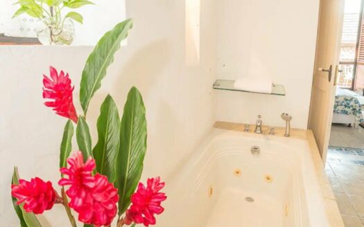 LUXURY 7 BR Mansion in Old City with Rooftop Pool