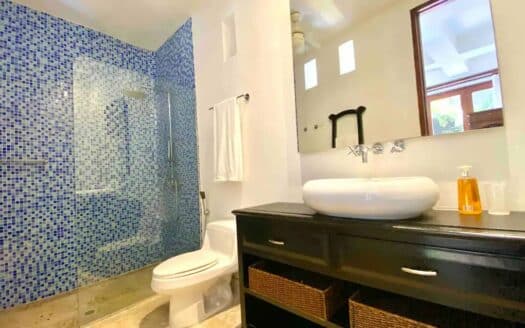 STUNNING 5 Bedroom Mansion in the old City