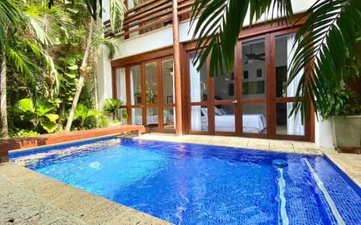STUNNING 5 Bedroom Mansion in the old City