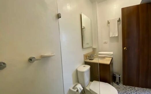 8 Bedroom Old City House with Jacuzzi & Rooftop