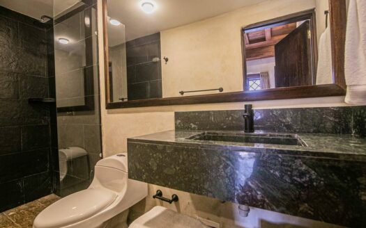 Luxury 5 Bedroom Villa Old City