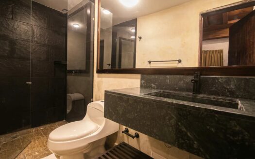 Luxury 5 Bedroom Villa Old City