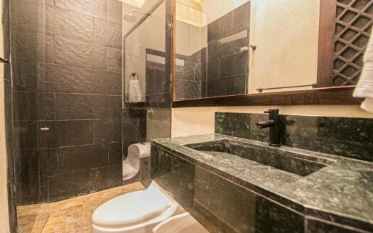 Luxury 5 Bedroom Villa Old City