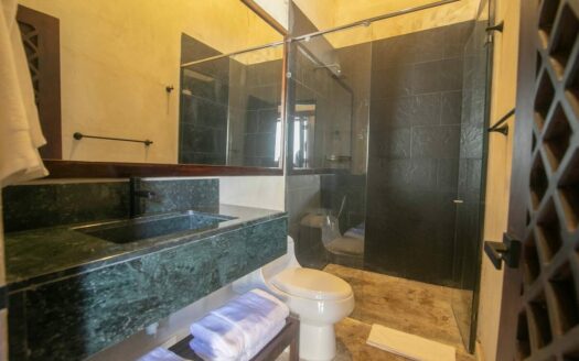Luxury 5 Bedroom Villa Old City