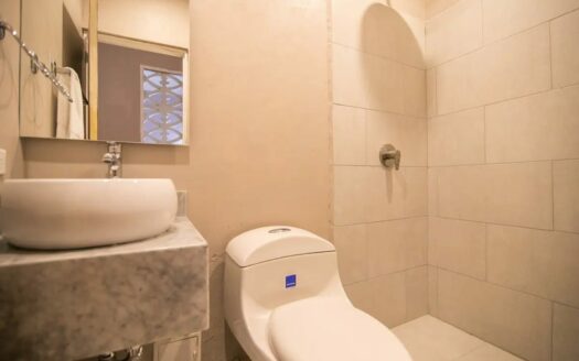 Luxury 5 Bedroom Mansion in Old City