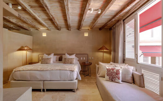 Historic Center 12BR Luxury Villa W Cathedral View