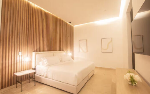 Luxury 13 Bedroom Old City Villa Best Location